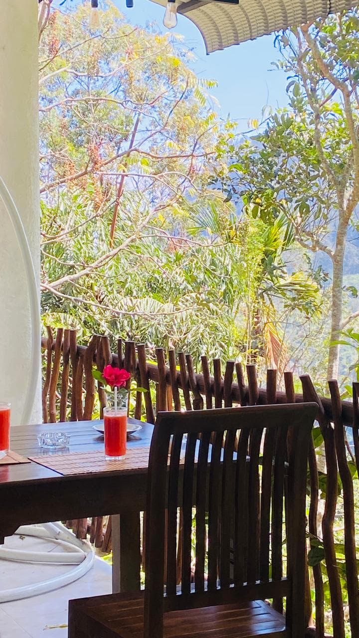 Fresh juice on the Hidden Cove balcony table above the trees