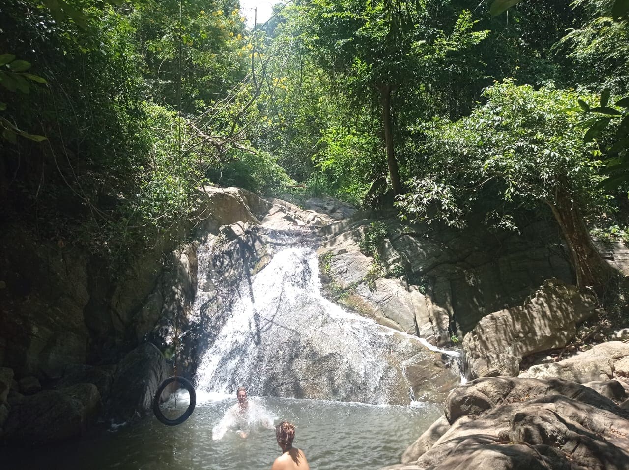Waterfall tumbling through the forest