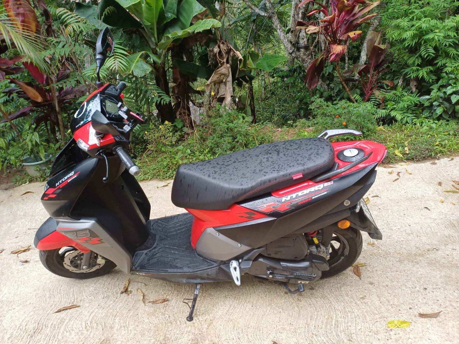 Scooty ready to explore Ella