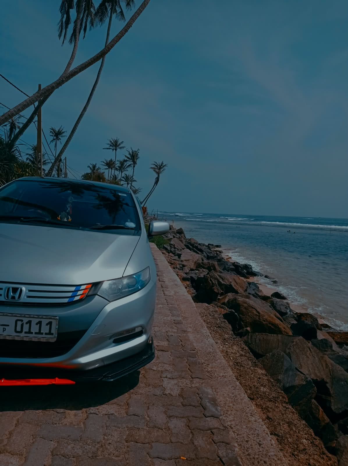 Silver sedan parked beside a palm-lined coastline